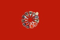 南充市嘉陵区回收红酒